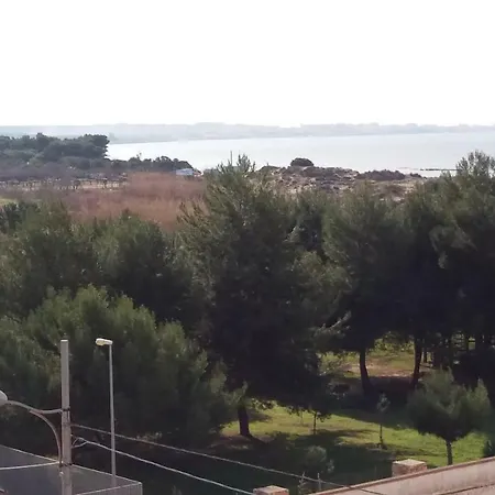 Nettuno Lido Conchiglie
