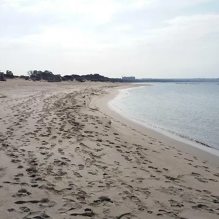 Apartmán Nettuno Lido Conchiglie *